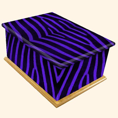 Funky Zebra Pattern Colourful Caskets by Carl Hogg Funerals Golborne